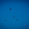 miting-aero-1z.jpg