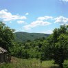 img_3892tb.jpg