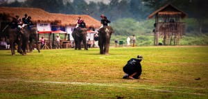 elephant polo-1 elephant polo-1